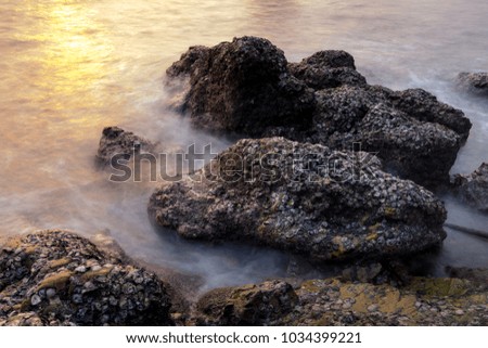 surreal rock with sea shell and smooth long exposure background with sun light