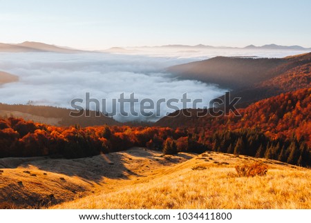 Awesome morning moment in alpine foggy valley. Location Carpathian national park, Ukraine, Europe. Scenic image of wilderness, ecology concept. Drone photography. Explore the beauty of earth.