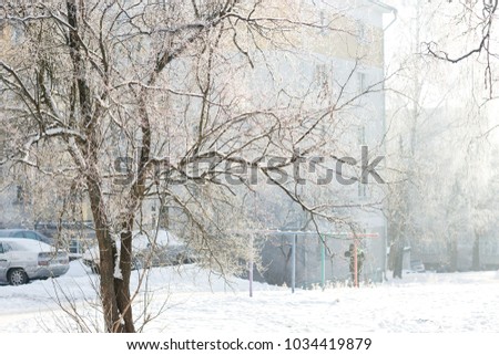 Background with winter landscape: frosty trees and white snow. Blue clear sky and the sunrise. A branches with frost. Copyspace. Magic nature.