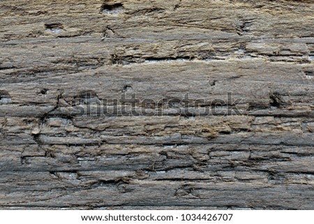 Wooden background. Texture of a board.  Background of a brown old tree with a ragged surface. Photo macro