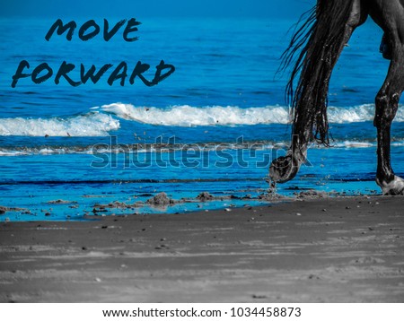 Running Horse on the Beach ; Picture with Motivation sentense „move forward“