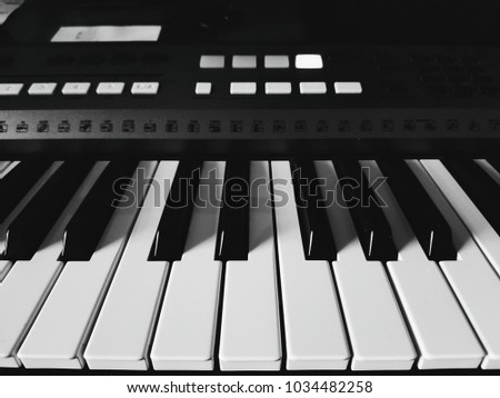 Black and white music, piano, keys, musician and art, Gamma in C major