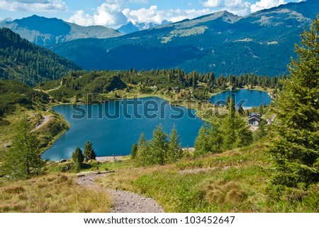 view of the lake Colbricon near the Rolle pass, Dolomites - Italy