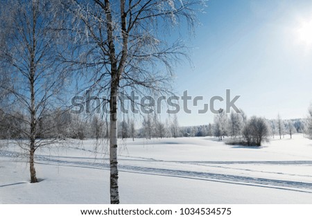 Beautiful wintry wallpaper from Finland. Snowy scenery with sunshine.