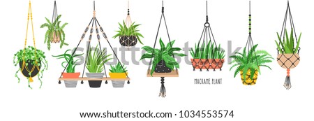 Set of macrame hangers for plants growing in pots. Bundle of hanging planters made of cotton cord, beautiful handmade home decorations isolated on white background. Cartoon flat vector illustration. Royalty-Free Stock Photo #1034553574