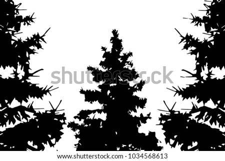 Black and white background with pine trees with blank spase for your design. 