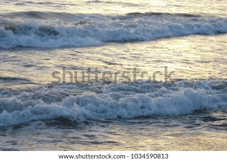 Waves in shallow water at the seaside