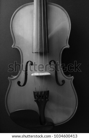 Professional musical instrument. Violin.