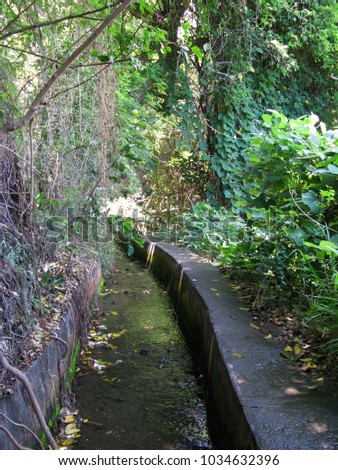 Saint Paul / La Reunion: Lush vegetation around an old irrigation canal at the basins and waterfalls in the Ravine Saint Gilles