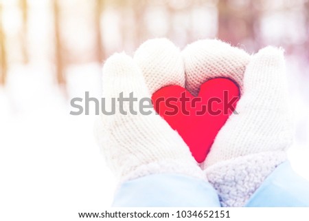 heart in hands in white mittens on a background of winter nature