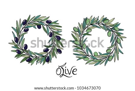 Black and green olive branches wreath. Vector Illustration. Natural olive oil tree frame. Decoration with olive fruits, branches, leaves. Creative italian menu cover template with place for your text.