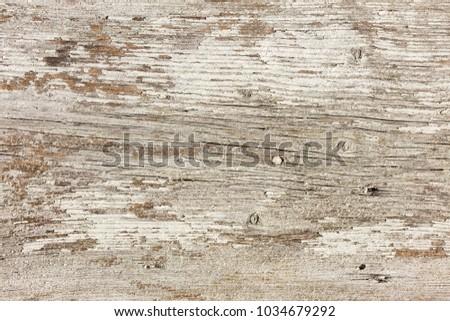 Abstract Wood texture background and bark tree. Selective focus