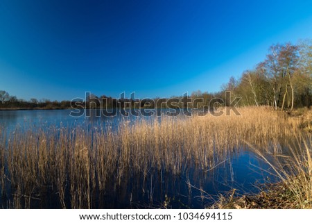 Belgium - Zonhoven - Nature park of Platweijers. Sunrise picture with reflections and blue sky, view on the lake, trees, spring. (Long Exposure)