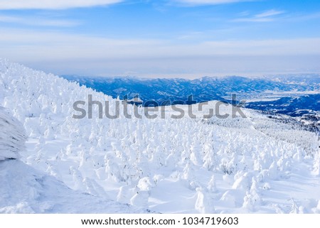 The snow monster on Jizo summit, Zao mountain at Yamakata, Japan.