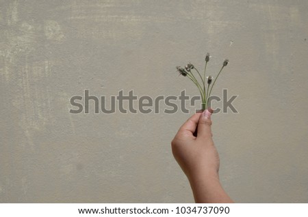 Plump hand holding a flower The background is gray walls, soft focus.
