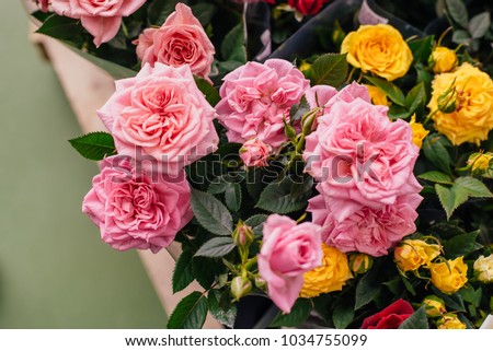 Background of roses orange, white, red, yellow color closeup top view