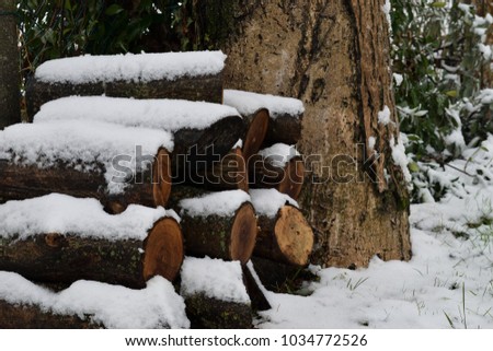 Winter wood log pile. A mosaic of wood stocks covered by a mantle of snow. Royalty-Free Stock Photo #1034772526