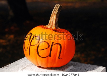 A business announces their business is open through a pumpkin