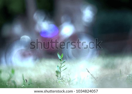 Single green herb and blurred bicycle. Abstract inspirational photo art.