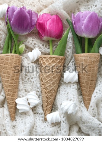 spring. tulips in waffle cones. concept spring. 