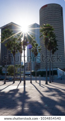 Downtown palms and skyscrapers with sunburst