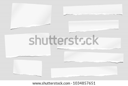 Pieces of torn white blank note, notebook paper for text stuck on striped gray background. Royalty-Free Stock Photo #1034857651