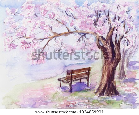 Blooming pink trees,bench in the park.Watercolor sketch.Hand drawn