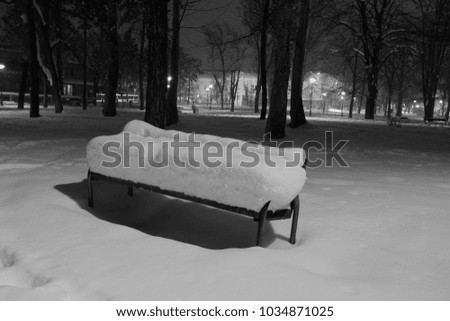Winter in the park, black and white