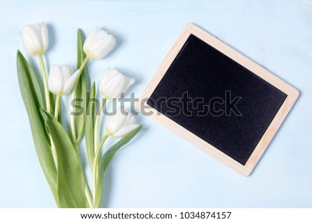 Tulip with blank picture frame on blue background