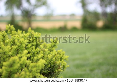 Landscape Stock Photos, green grass, green bush, white picket fence, farm photo