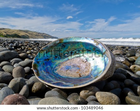 Beached empty Paua, Perlemoen or Abalone shell showing the iridescent nacre mother-of-pearl interior lying ashore on gravel beach Royalty-Free Stock Photo #103489046