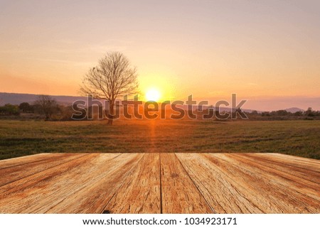wooden terrace with sunset over grass field in summer of Thailand