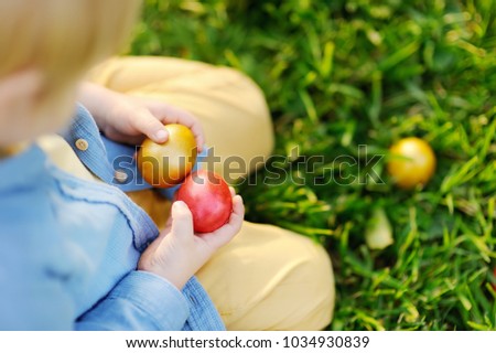 Close-up photo of little boy hunting for easter egg in spring park on Easter day. Cute little child celebrating feast outdoors