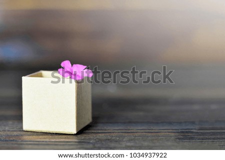 Mothers Day card with a little flower in the gift box