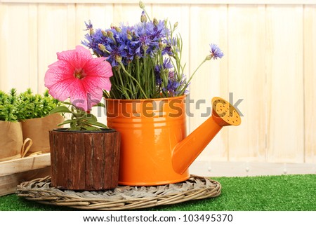 watering can and plants in flowerpot on grass on wooden background