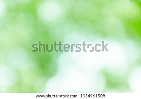 Abstract natural green bokeh background