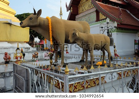 Cow statue at Um-long temple. This is temple in Lampang, Thailand.