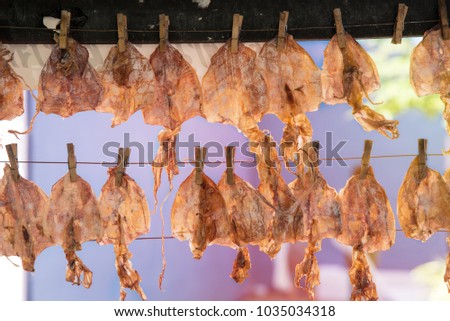 Dried squid hanging on a wire, with sunlight shining for dry to preserve food.