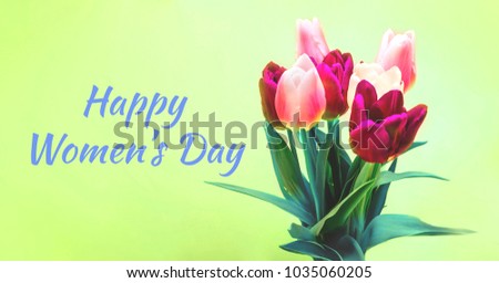 Green  background and bouquet of red purple and white  tulips. Conception holiday, March 8, Mother's Day text on image, Women's Day. selective focus. vintage filtered , copy space isolated  decoration