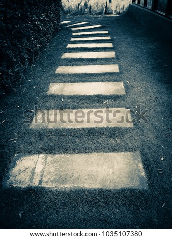 Stone pathway or walkway on the grass in the garden, monotone.