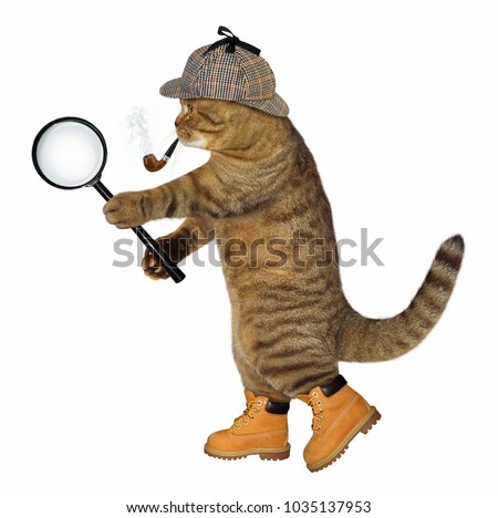 The cat detective with a smoking pipe holds a magnifying glass. White background.
