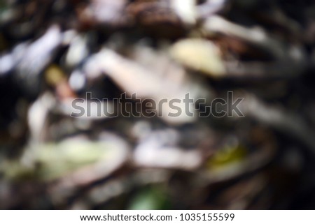 Green nature background abstract
