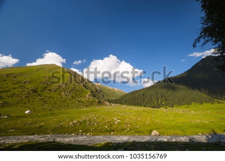 Lush Green Valley on a Sunny Day in Kyrgyzstan Mountains with River