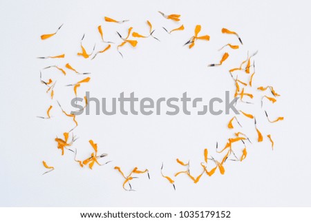 Dry flower frame on white paper texture background