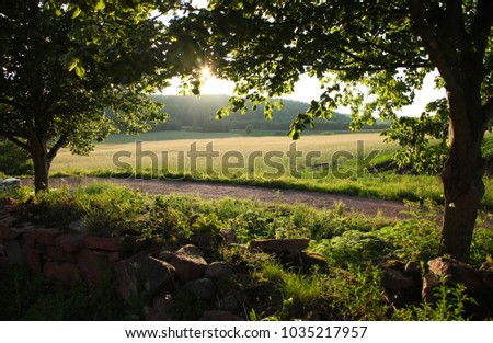 Sunset somewhere on the Aland Islands in Finland Royalty-Free Stock Photo #1035217957
