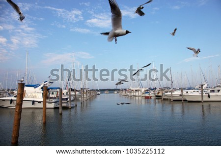 Seagulls and yachts in Marienhamn harbour on Aland islands Royalty-Free Stock Photo #1035225112