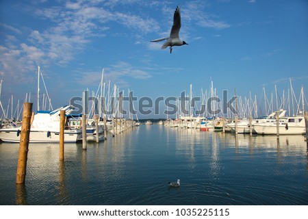 Seagulls and yachts in Marienhamn harbour on Aland islands Royalty-Free Stock Photo #1035225115