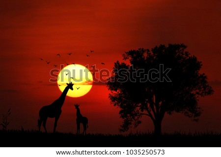 sunset giraffe silhouette