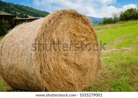 Haystack twisted roll lying on the field