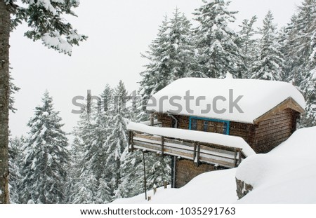 landscape: cabin, hut, chalet, wooden house in a pine forest, covered with fresh snow, powder, during snowstorm, resort, high mountain, alps, winter, Vigezzo Valley, Piedmont, Italy